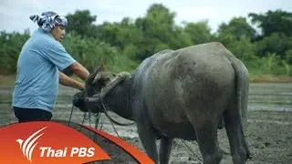 ละคร สาบควายลายคน ตอน 9