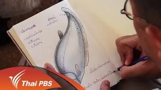 Nature Spy สายลับธรรมชาติ