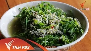 เชฟน้อยกินเปลี่ยนโลก