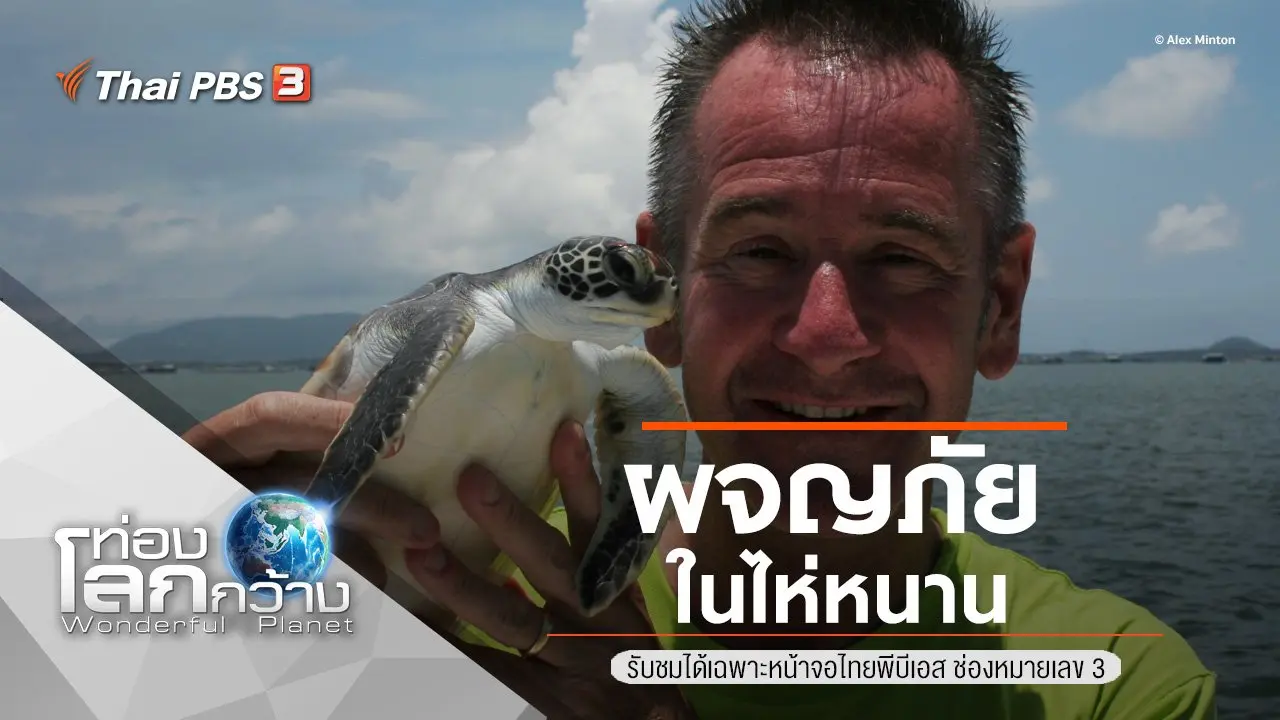 ผจญภัยในไห่หนาน