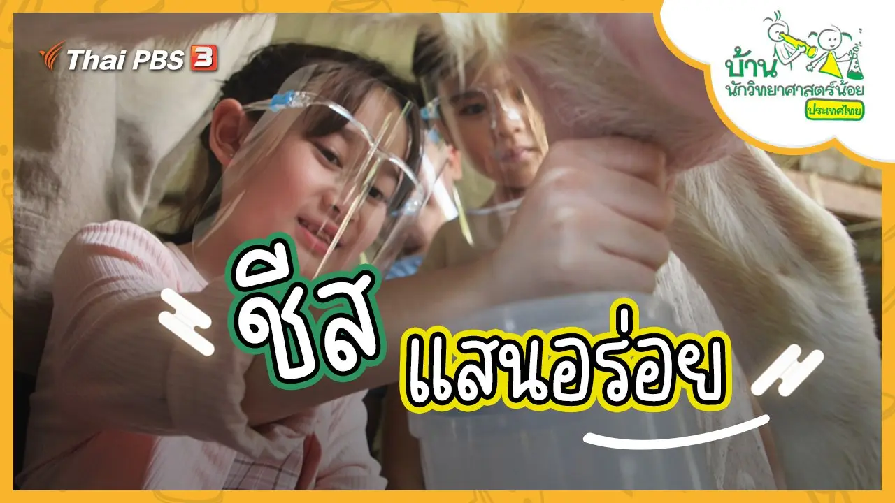 ชีสแสนอร่อย