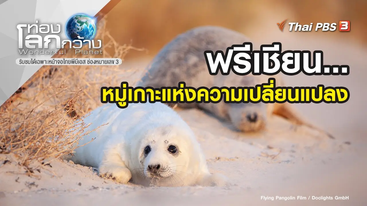 ฟรีเชียน... หมู่เกาะแห่งความเปลี่ยนแปลง