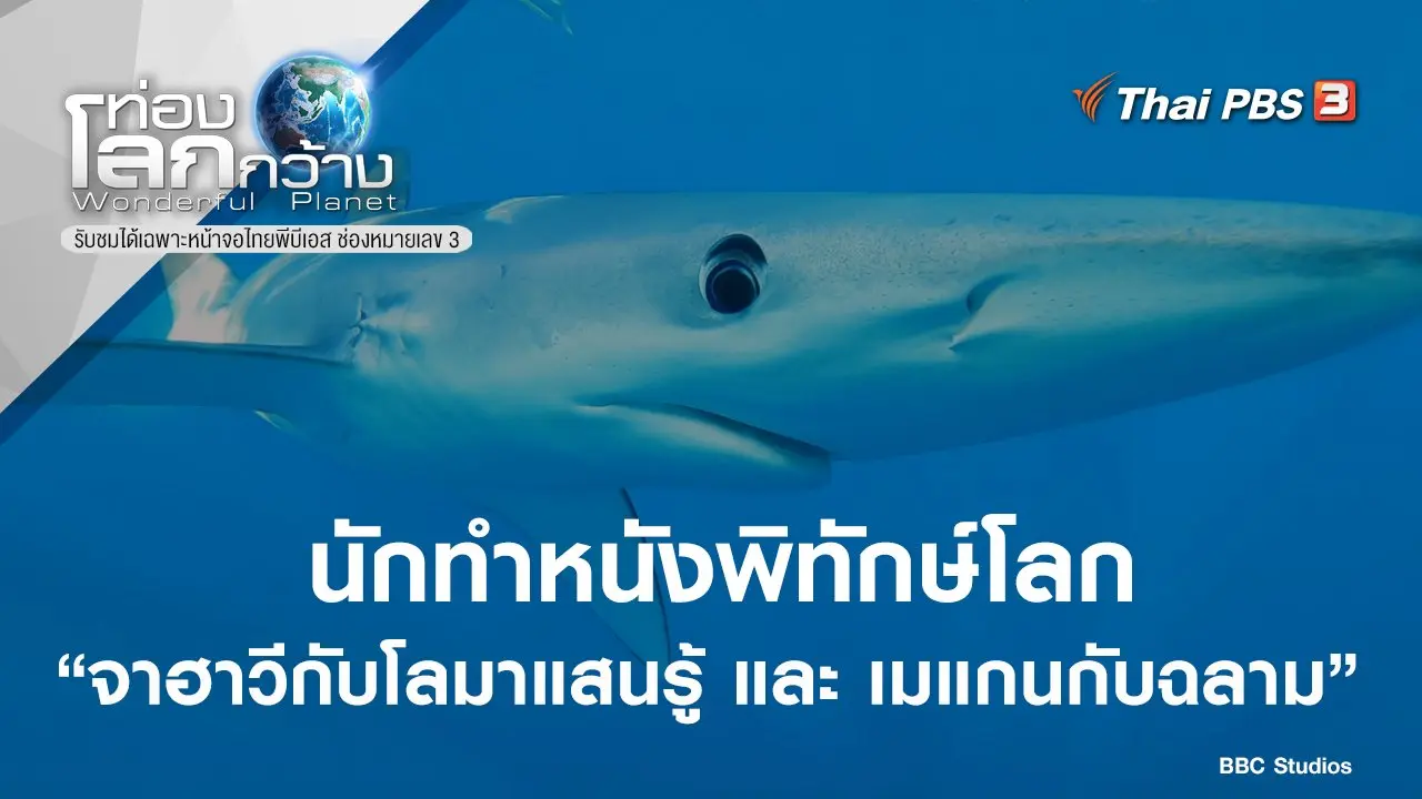 นักทำหนังพิทักษ์โลก ตอน จาฮาวีกับโลมาแสนรู้ และ เมแกนกับฉลาม