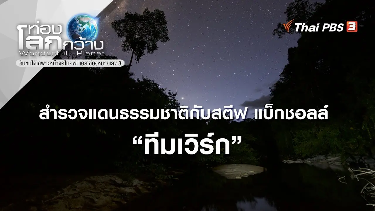สำรวจแดนธรรมชาติกับสตีฟ แบ็กชอลล์ ตอน ทีมเวิร์ก