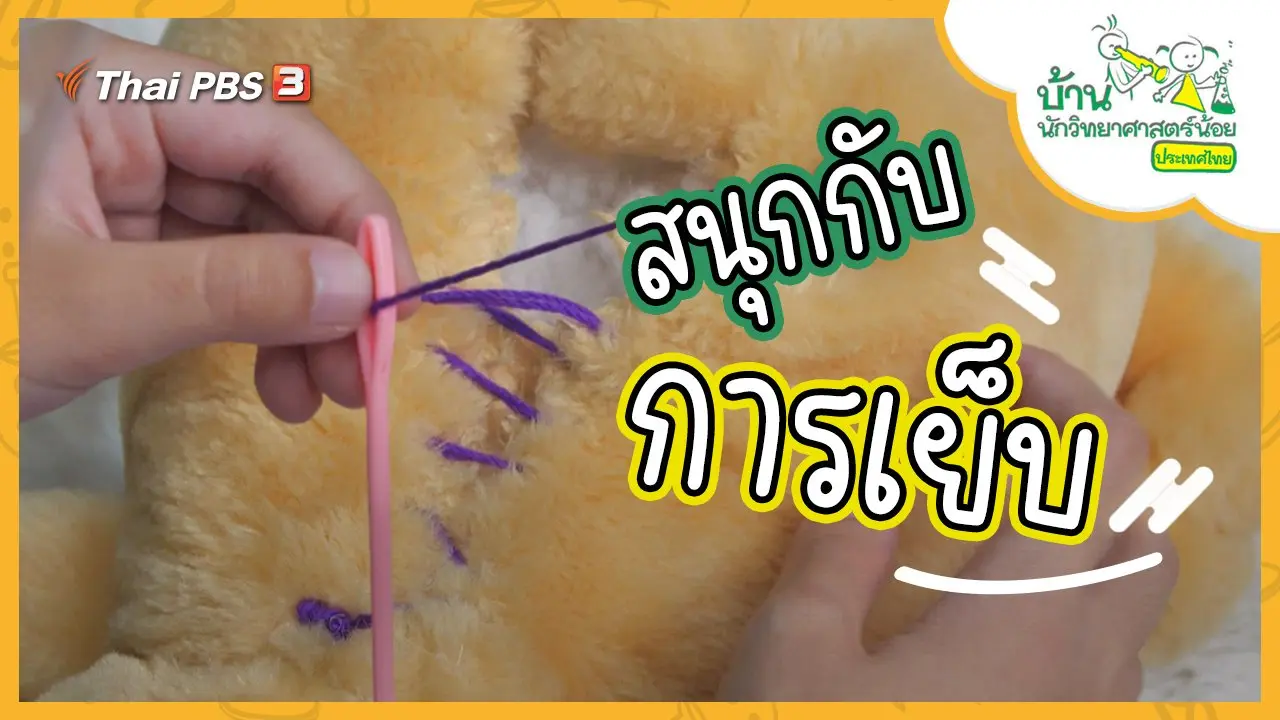 สนุกกับการเย็บ