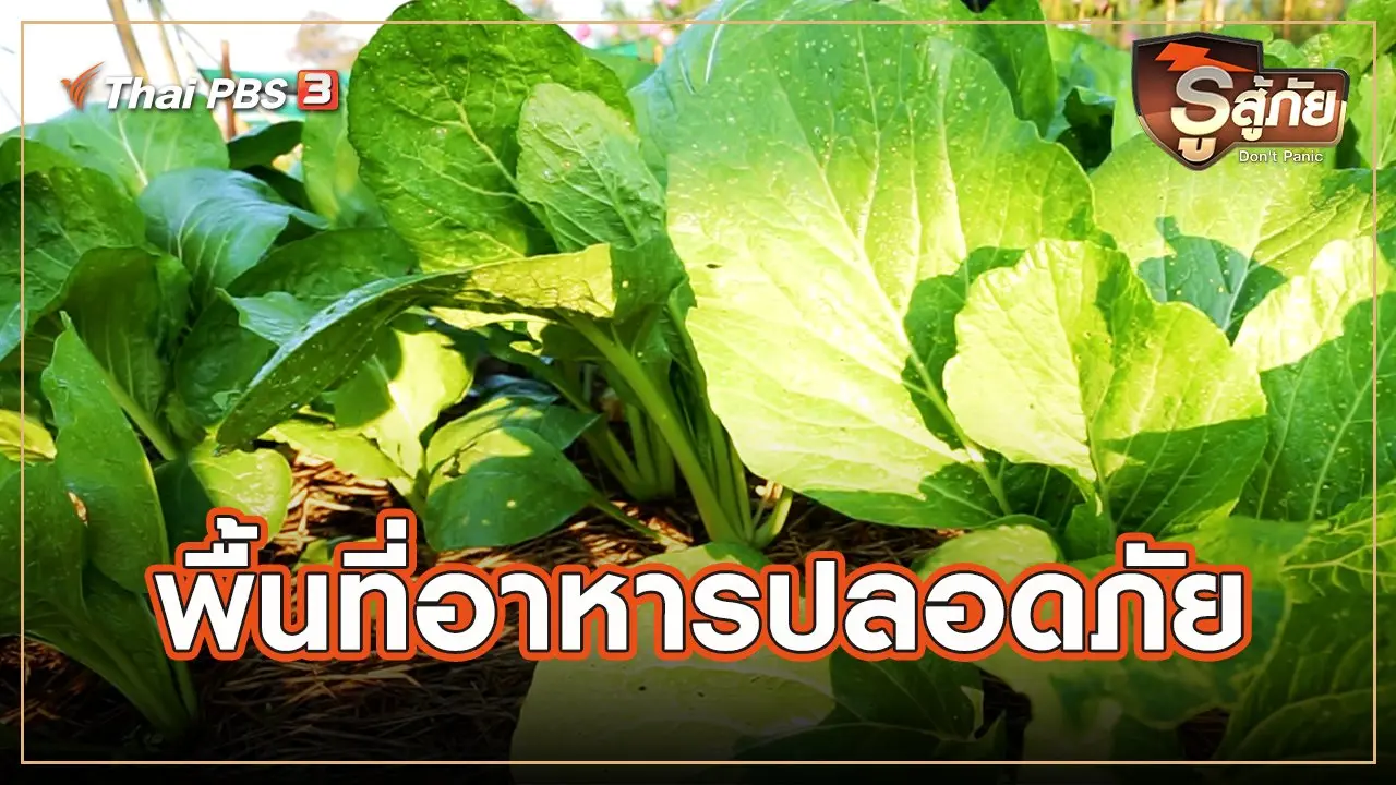 พื้นที่อาหารปลอดภัย