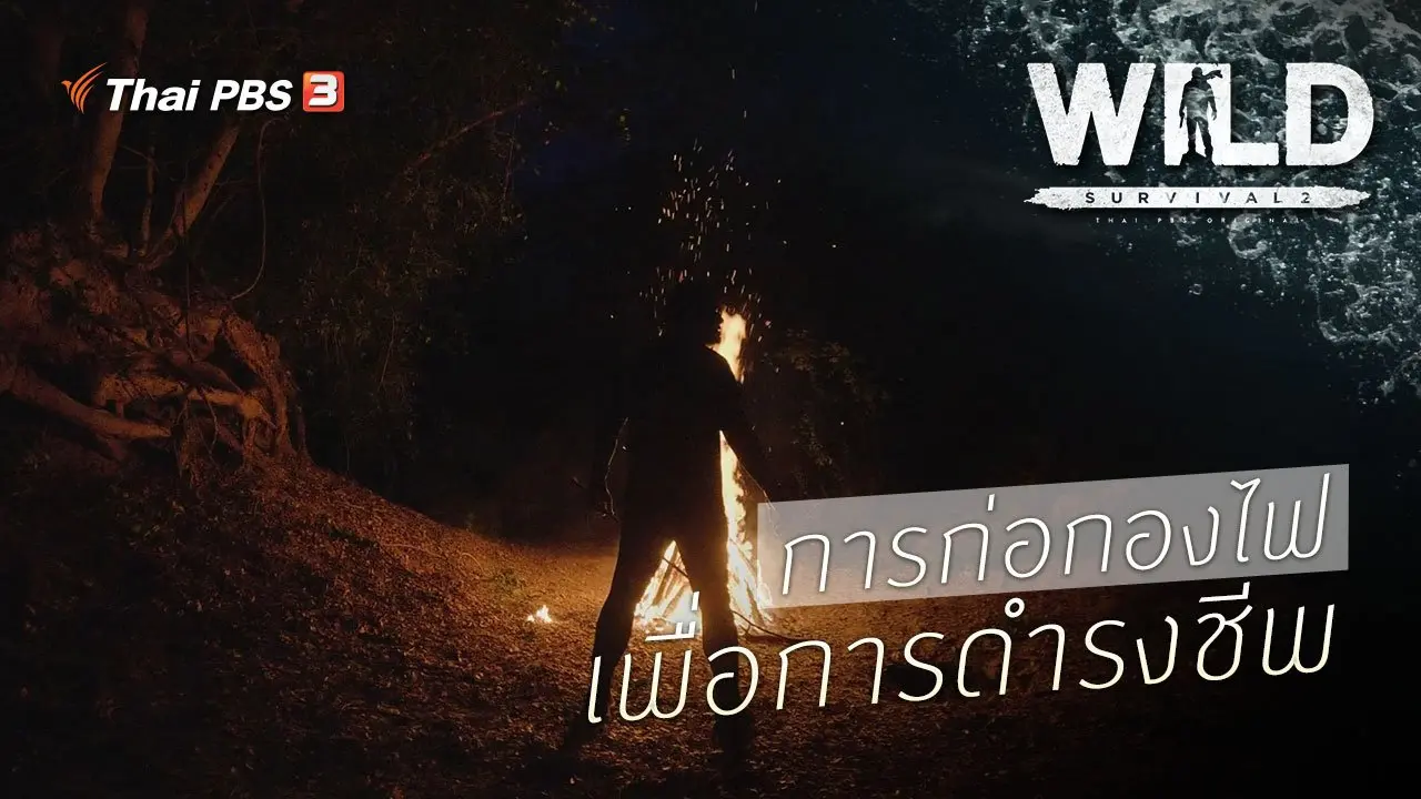 การก่อกองไฟเพื่อการดำรงชีพ