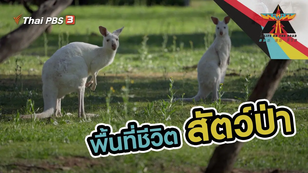 พื้นที่ชีวิตสัตว์ป่า