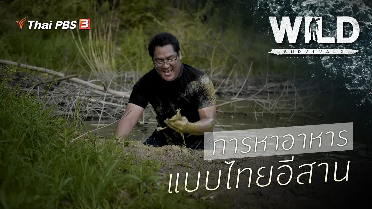 การหาอาหารแบบไทยอีสาน