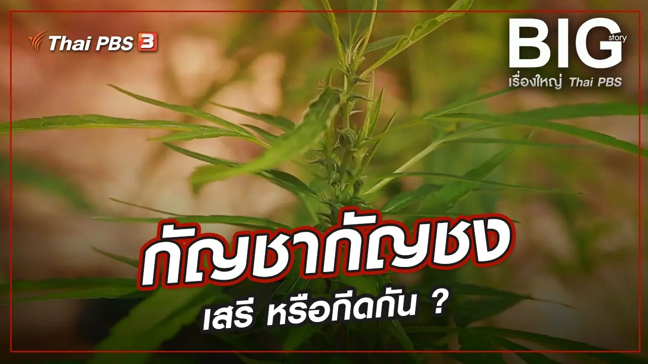 Big Story เรื่องใหญ่ Thai PBS