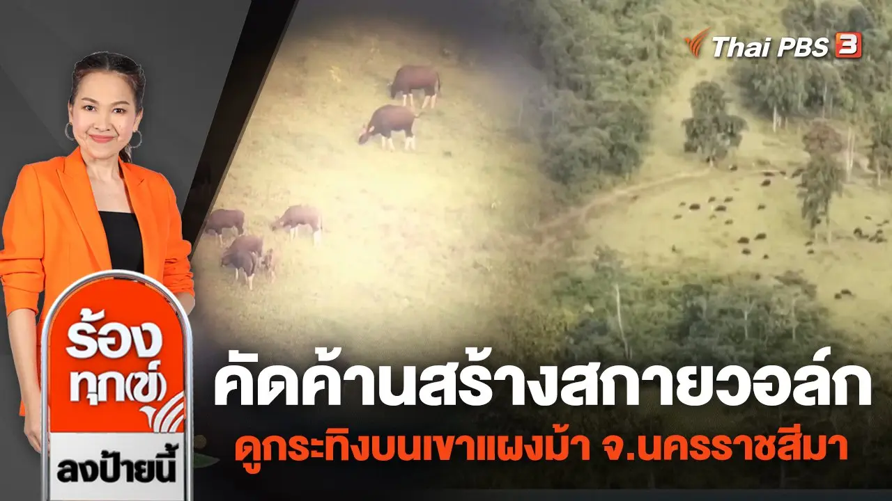 คัดค้านสร้างสกายวอล์กดูกระทิงบนเขาแผงม้า จ.นครราชสีมา