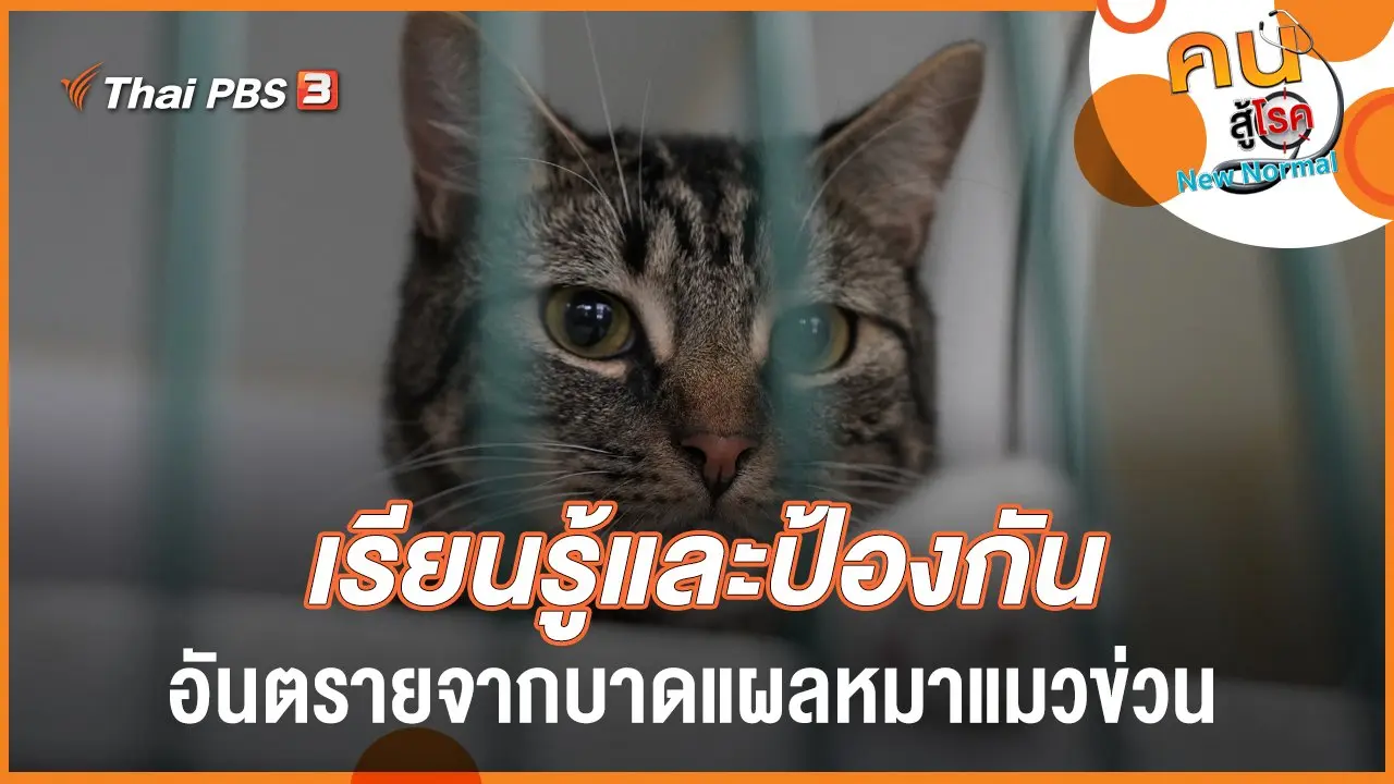 เรียนรู้และป้องกัน​ อันตรายจากบาดแผลหมาแมวข่วน