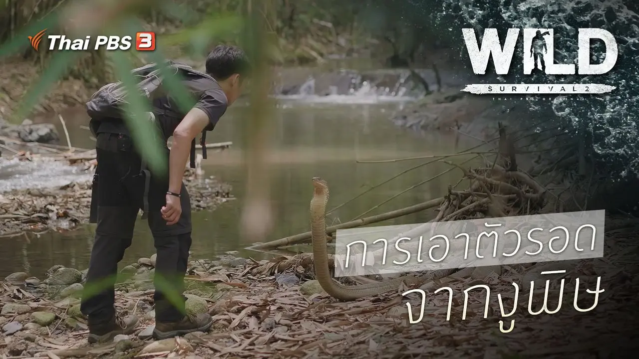 การเอาตัวรอดจากงูพิษ