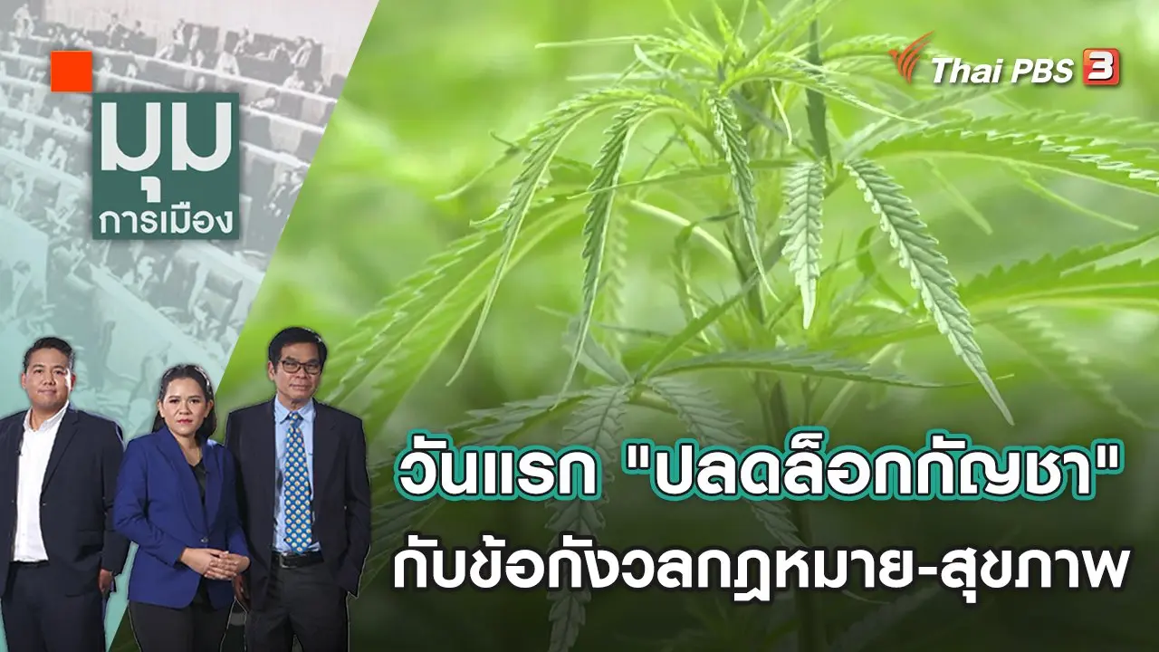 มุมการเมือง
