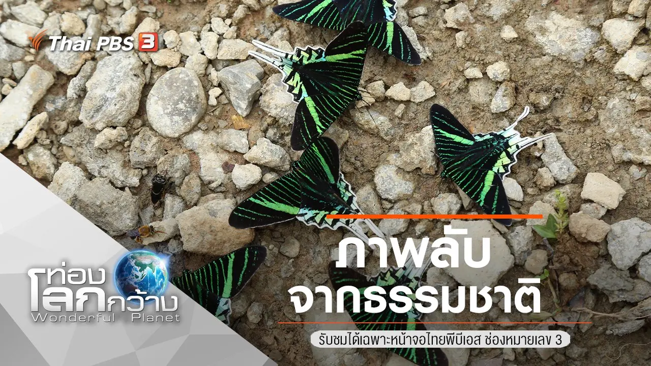 ภาพลับจากธรรมชาติ