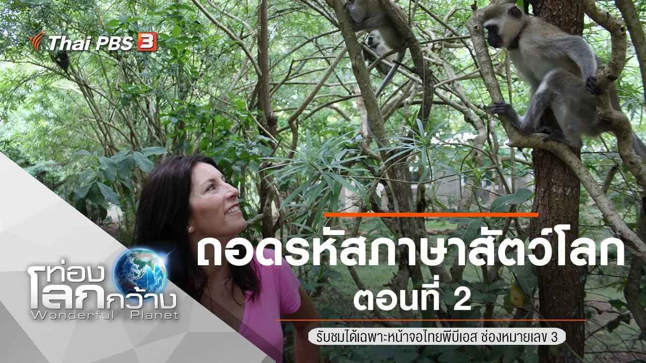 ถอดรหัสภาษาสัตว์โลก ตอนที่ 2