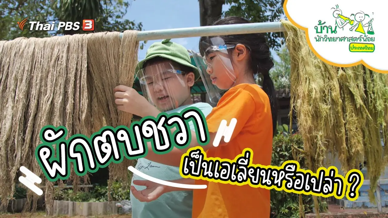 ผักตบชวาเป็นเอเลี่ยนหรือเปล่า ?