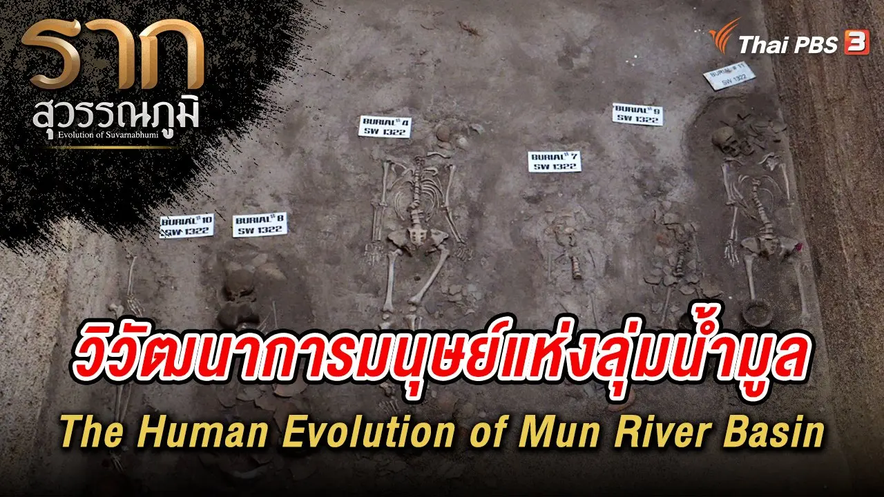 วิวัฒนาการมนุษย์แห่งลุ่มน้ำมูล The Human Evolution of Mun River Basin