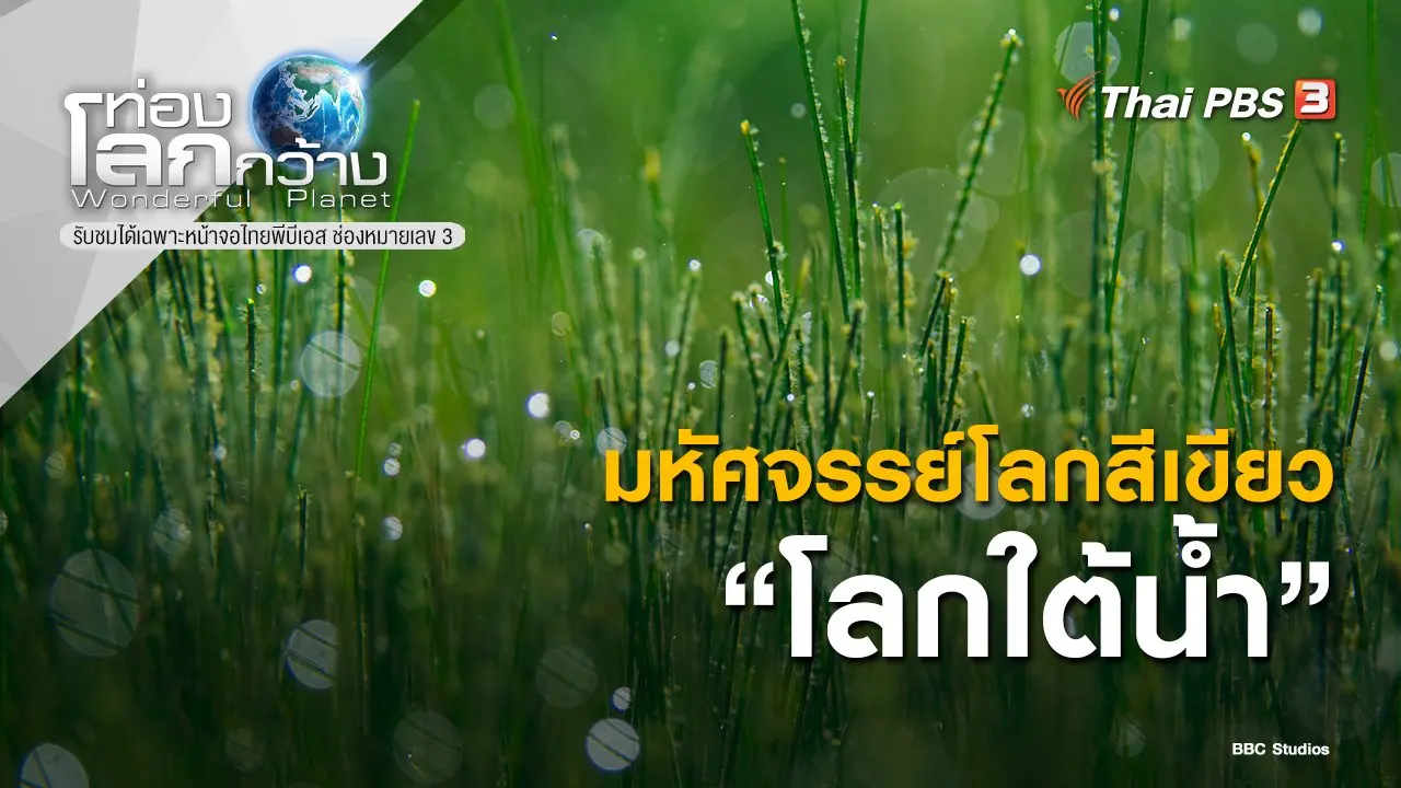 มหัศจรรย์โลกสีเขียว ตอน โลกใต้น้ำ
