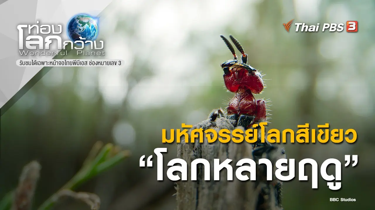 มหัศจรรย์โลกสีเขียว ตอน โลกหลายฤดู