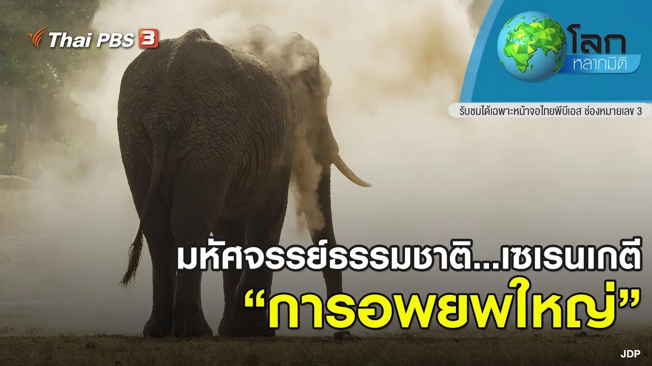 มหัศจรรย์ธรรมชาติ...เซเรนเกตี ตอน การอพยพใหญ่