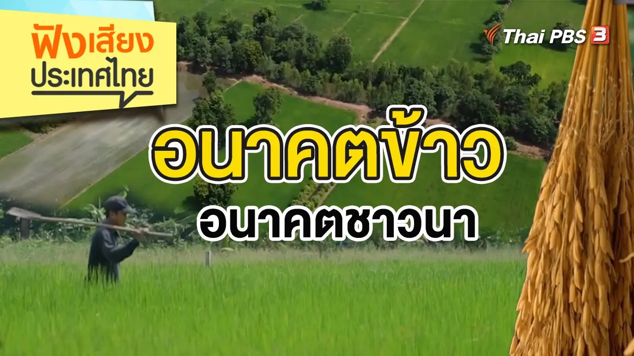อนาคตข้าว อนาคตชาวนา
