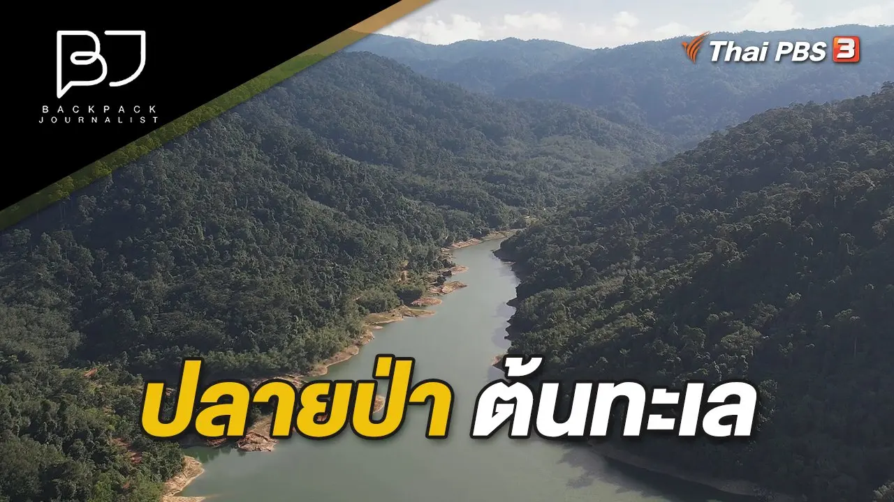 ปลายป่า ต้นทะเล
