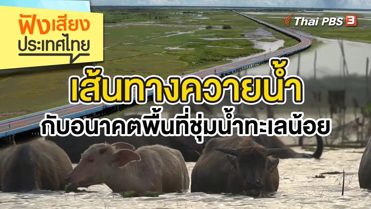 เส้นทางควายน้ำ กับอนาคตพื้นที่ชุ่มน้ำทะเลน้อย