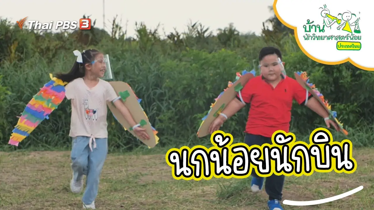 นกน้อยนักบิน