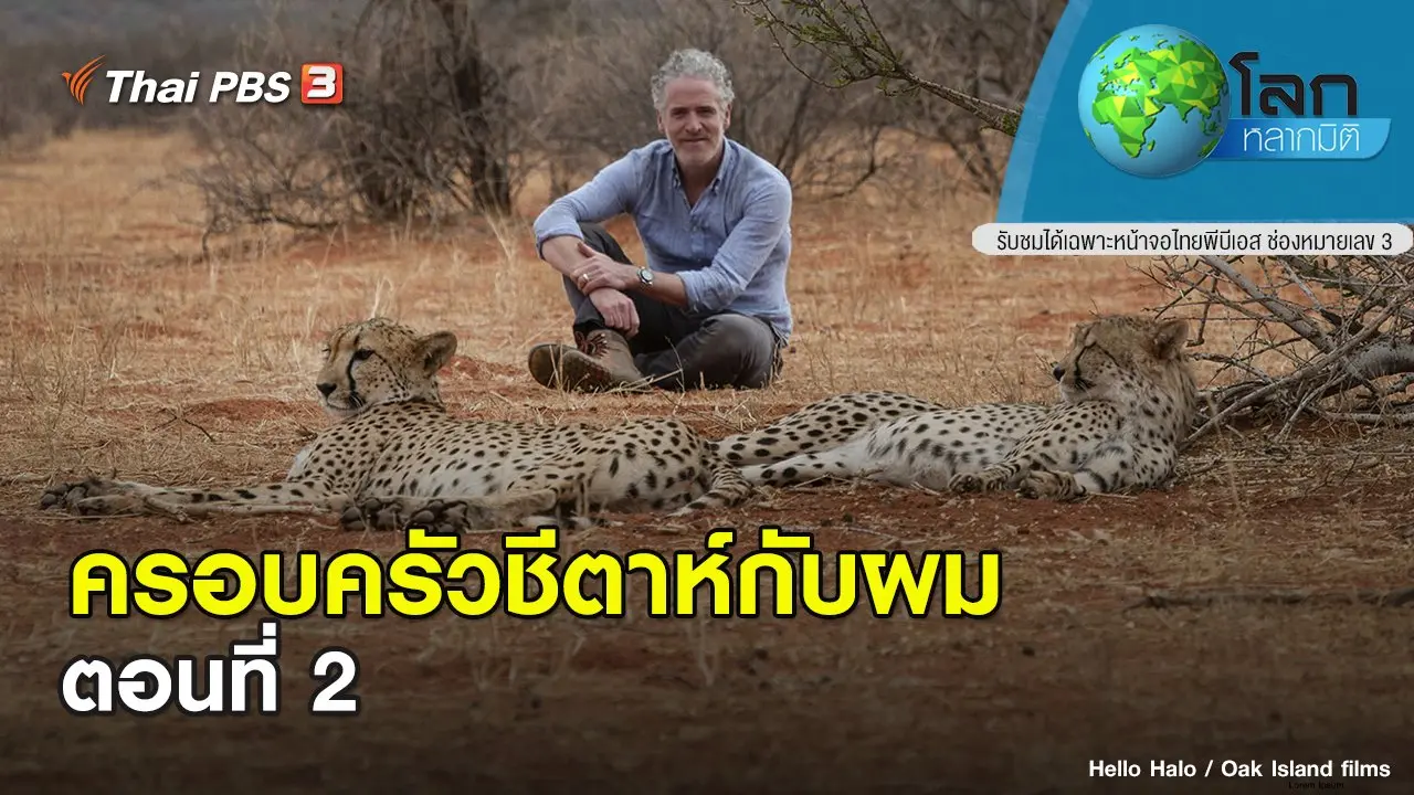 ครอบครัวชีตาห์กับผม ตอนที่ 2