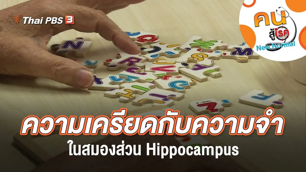 ความเครียดกับความจำในสมองส่วน Hippocampus