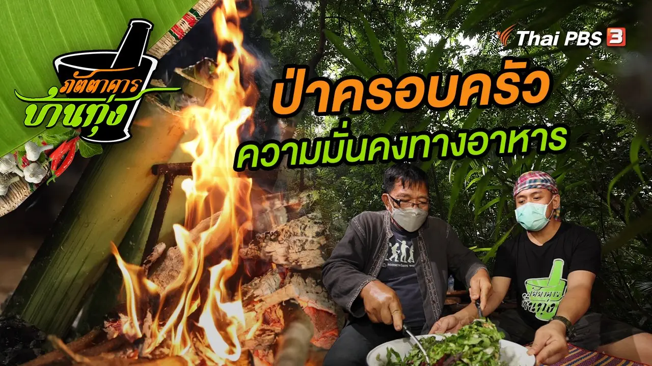 ป่าครอบครัว