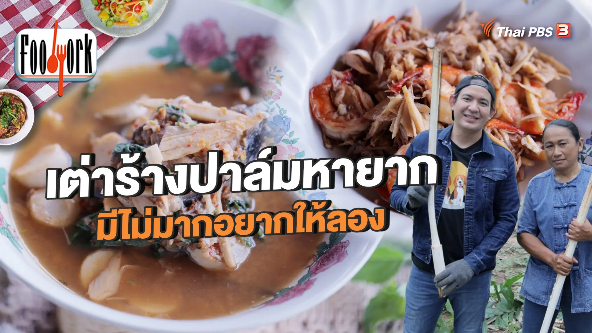 เต่าร้างปาล์มหายาก มีไม่มากอยากให้ลอง