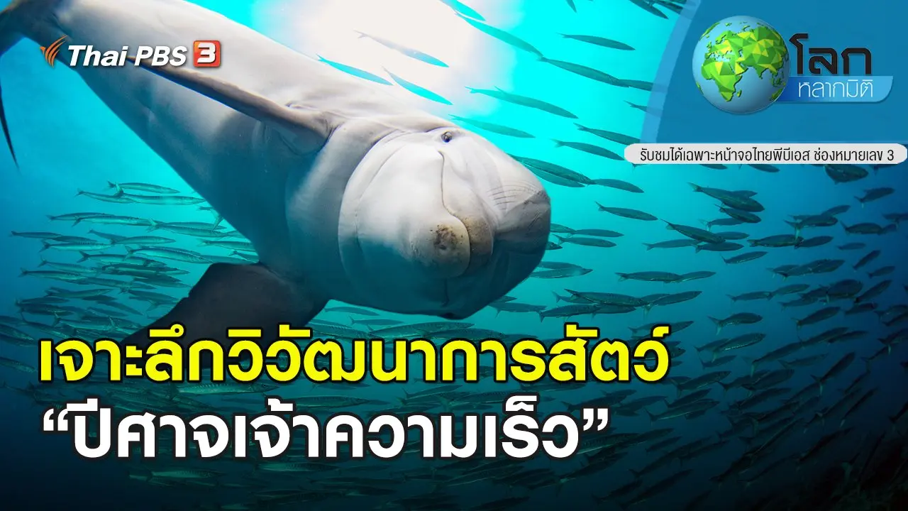 เจาะลึกวิวัฒนาการสัตว์ ตอน ปีศาจเจ้าความเร็ว
