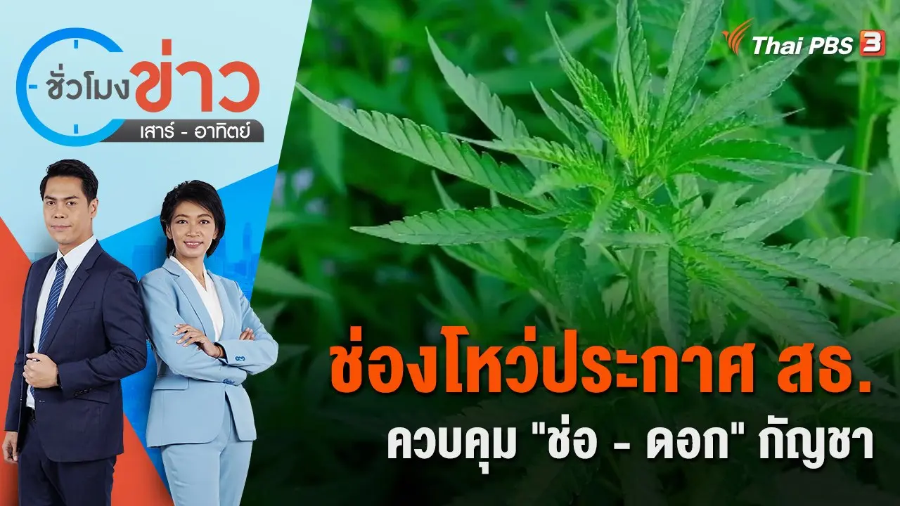 ช่องโหว่ประกาศ สธ.ควบคุม "ช่อ - ดอก" กัญชา | ชั่วโมงข่าว เสาร์ - อาทิตย์ | 12 พ.ย. 65