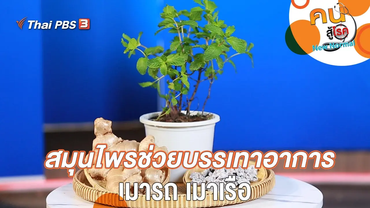 สมุนไพรช่วยบรรเทาอาการ เมารถ เมาเรือ