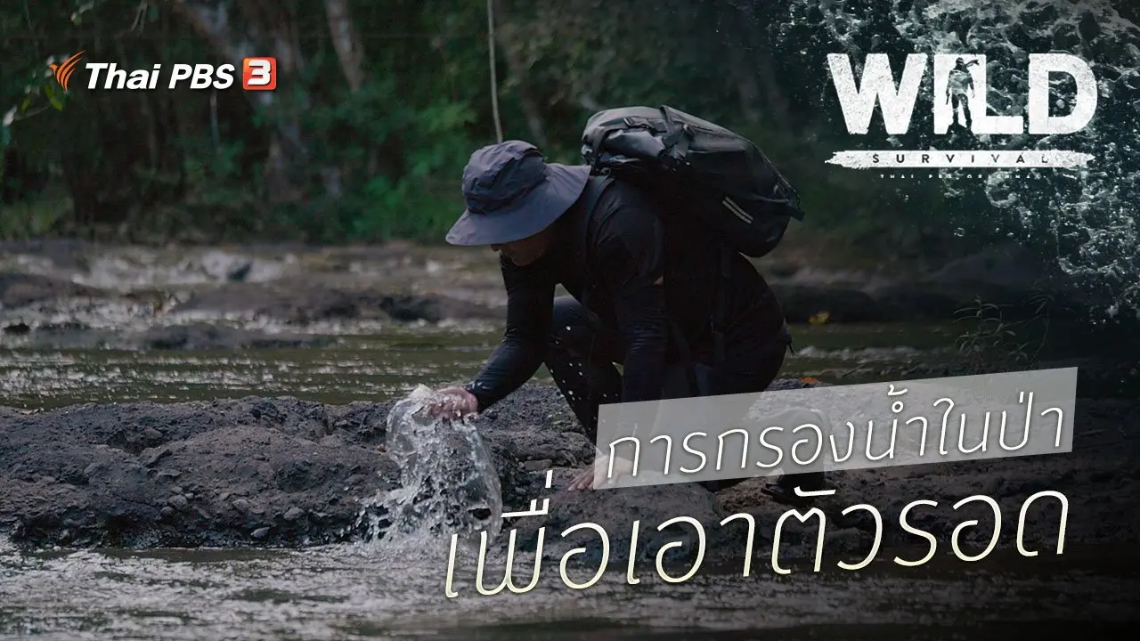การกรองน้ำในป่า เพื่อเอาตัวรอด