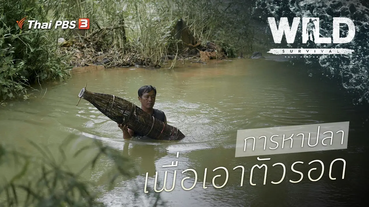 การหาปลา เพื่อเอาตัวรอด