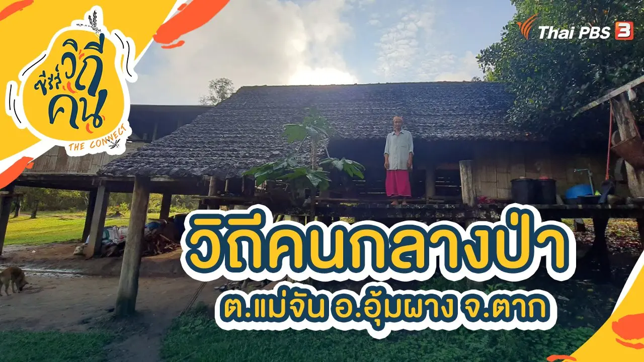 วิถีคนกลางป่า ต.แม่จัน อ.อุ้มผาง จ.ตาก