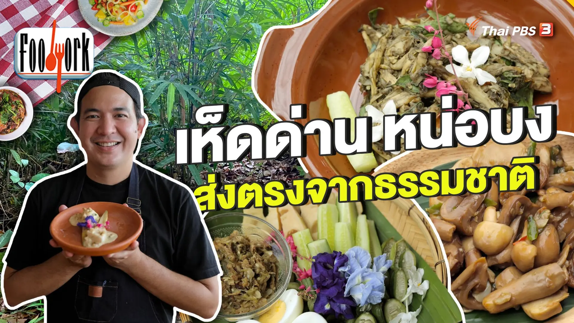 เห็ดด่าน หน่อบง วัตถุดิบส่งตรงจากธรรมชาติ