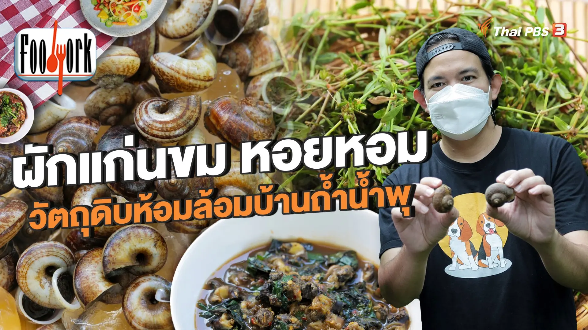 ผักแก่นขม หอยหอม วัตถุดิบห้อมล้อมบ้านถ้ำน้ำพุ
