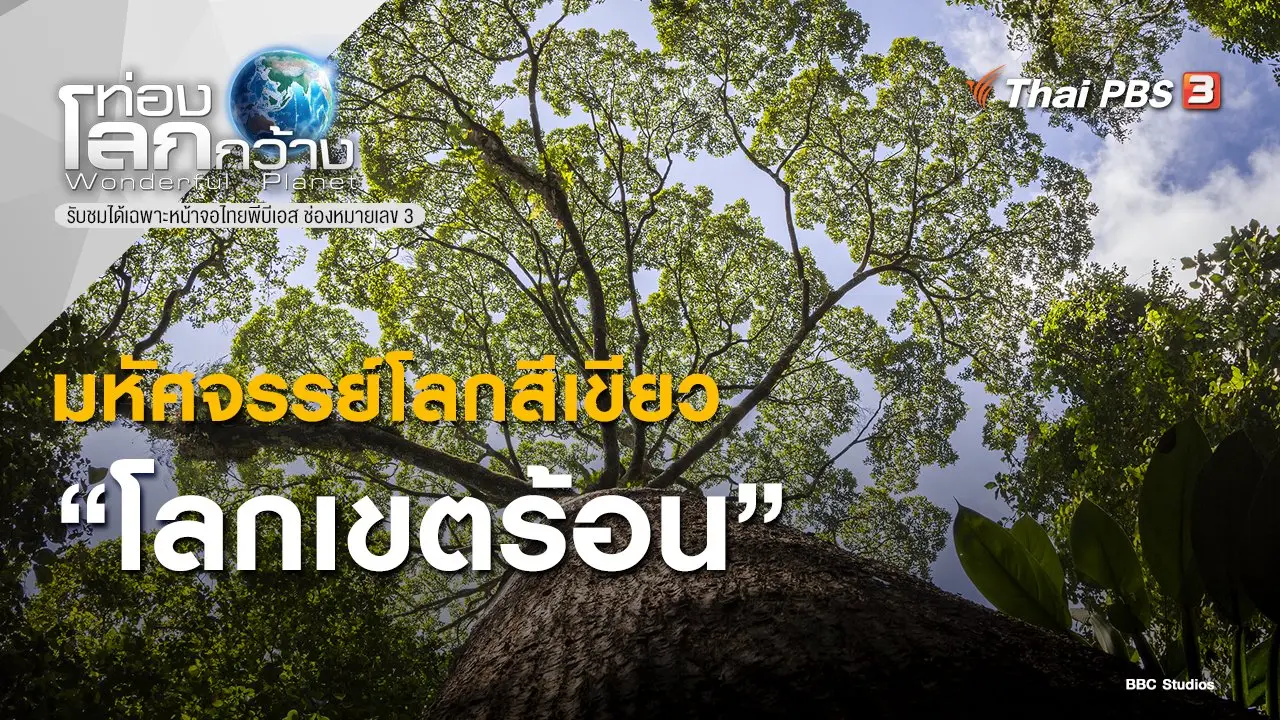 มหัศจรรย์โลกสีเขียว ตอน โลกเขตร้อน