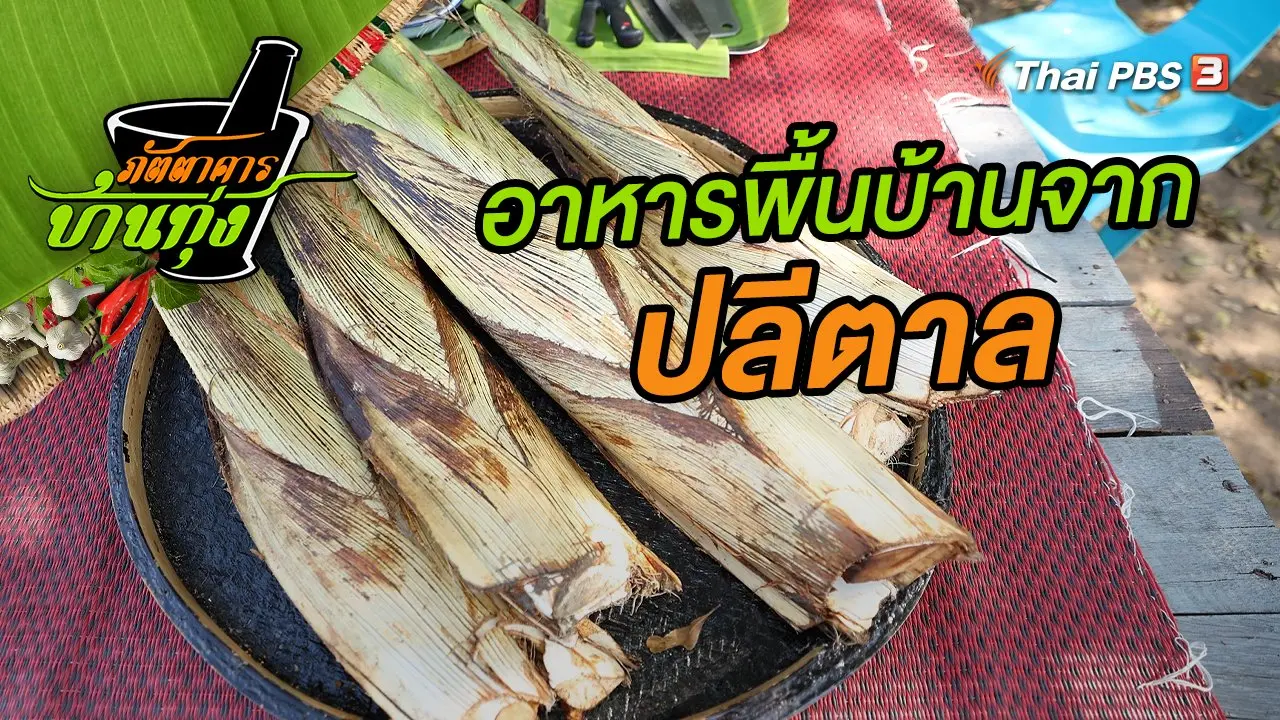 ปลีตาล