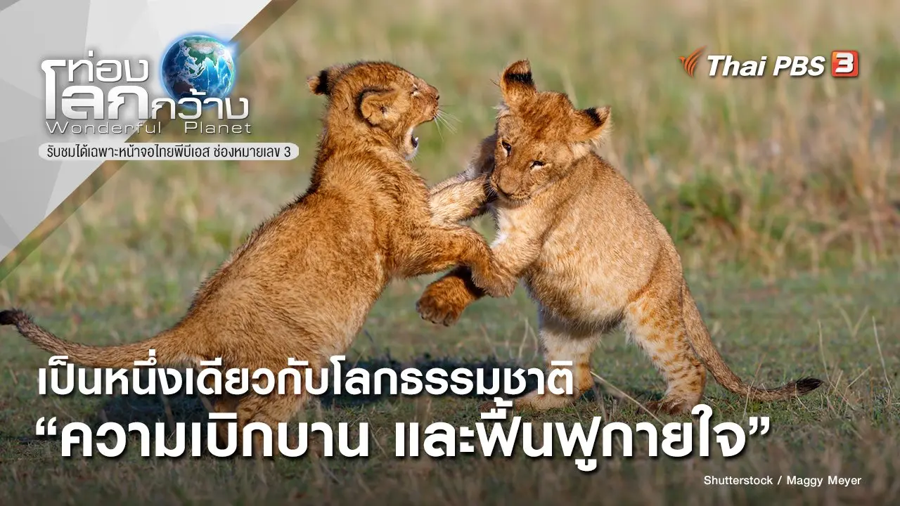 เป็นหนึ่งเดียวกับโลกธรรมชาติ ตอน ความเบิกบาน และฟื้นฟูกายใจ