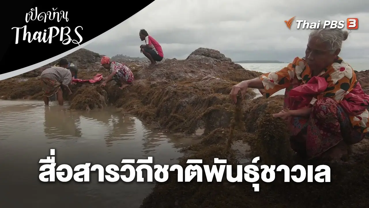 สื่อสารวิถีชาติพันธุ์ชาวเล