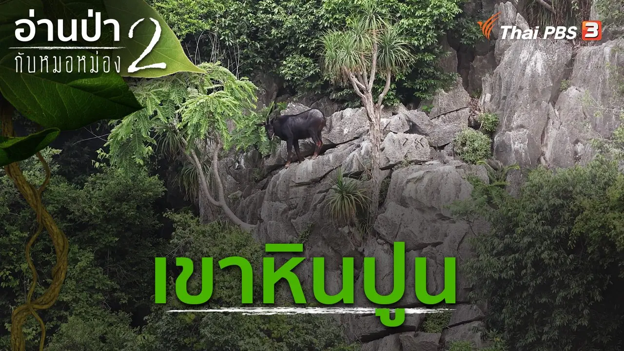 เขาหินปูน