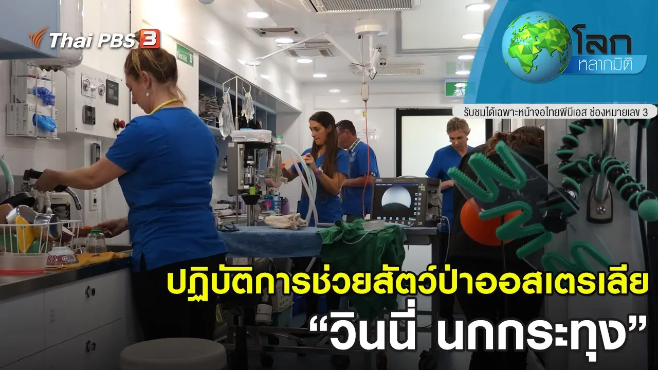 ปฏิบัติการช่วยสัตว์ป่าออสเตรเลีย ตอน วินนี่ นกกระทุง