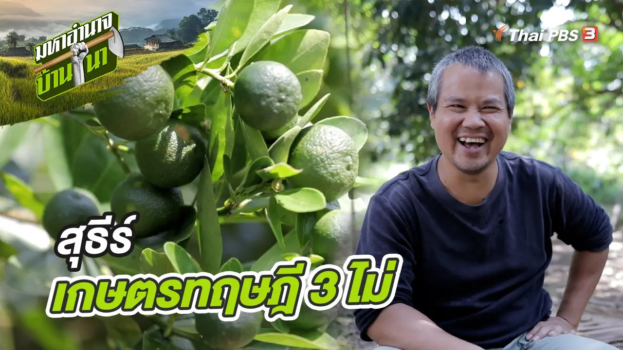 สุธีร์ เกษตรทฤษฎี 3 ไม่
