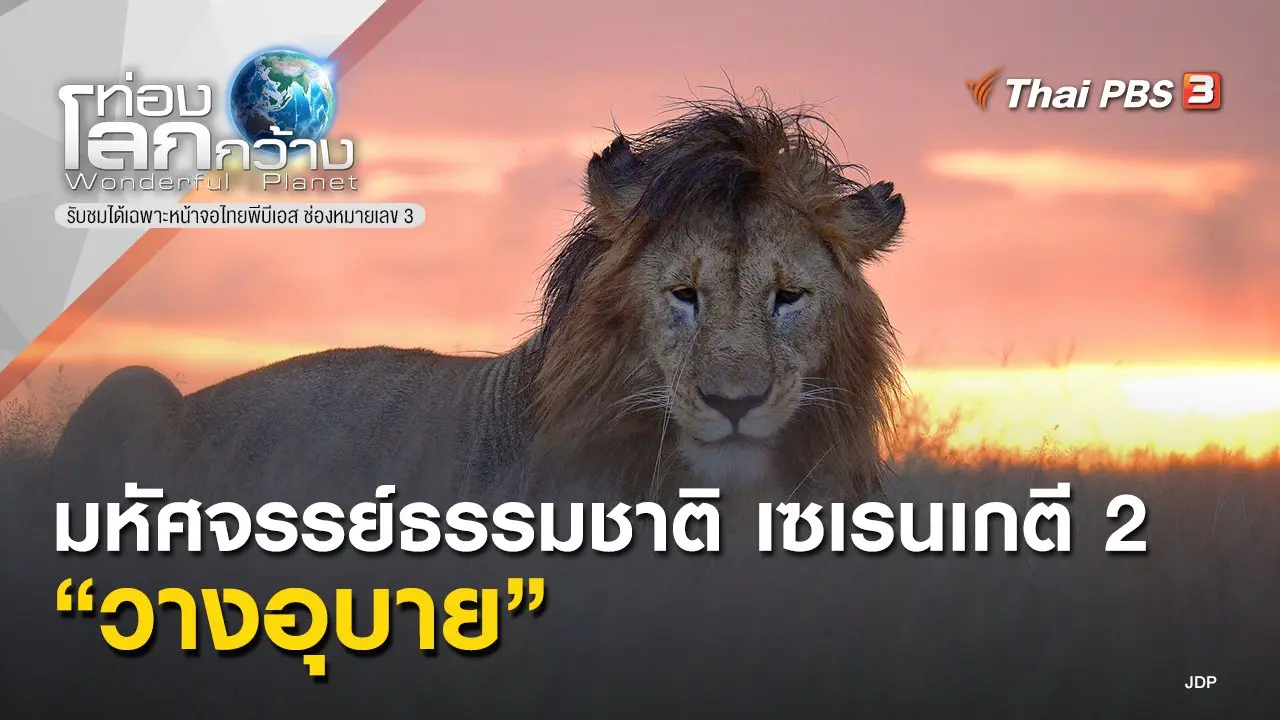 มหัศจรรย์ธรรมชาติ เซเรนเกตี 2 ตอน วางอุบาย