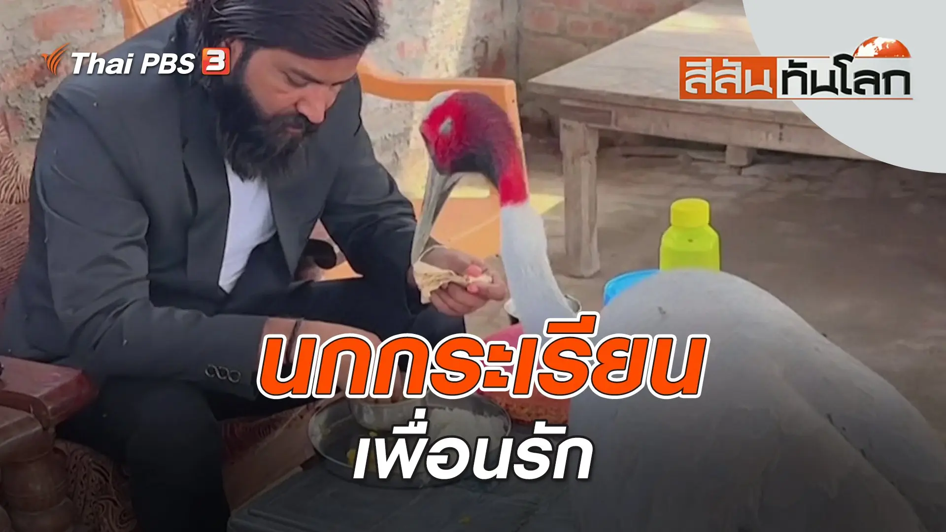 นกกระเรียนเพื่อนรัก | สีสันทันโลก | 22 เม.ย. 66